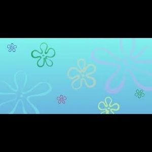 Meet your Posher, Shelby